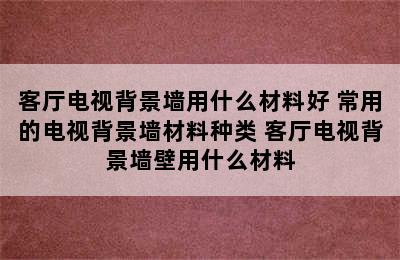 客厅电视背景墙用什么材料好 常用的电视背景墙材料种类 客厅电视背景墙壁用什么材料